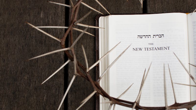 Det nye testamentet – mer enn fake news?